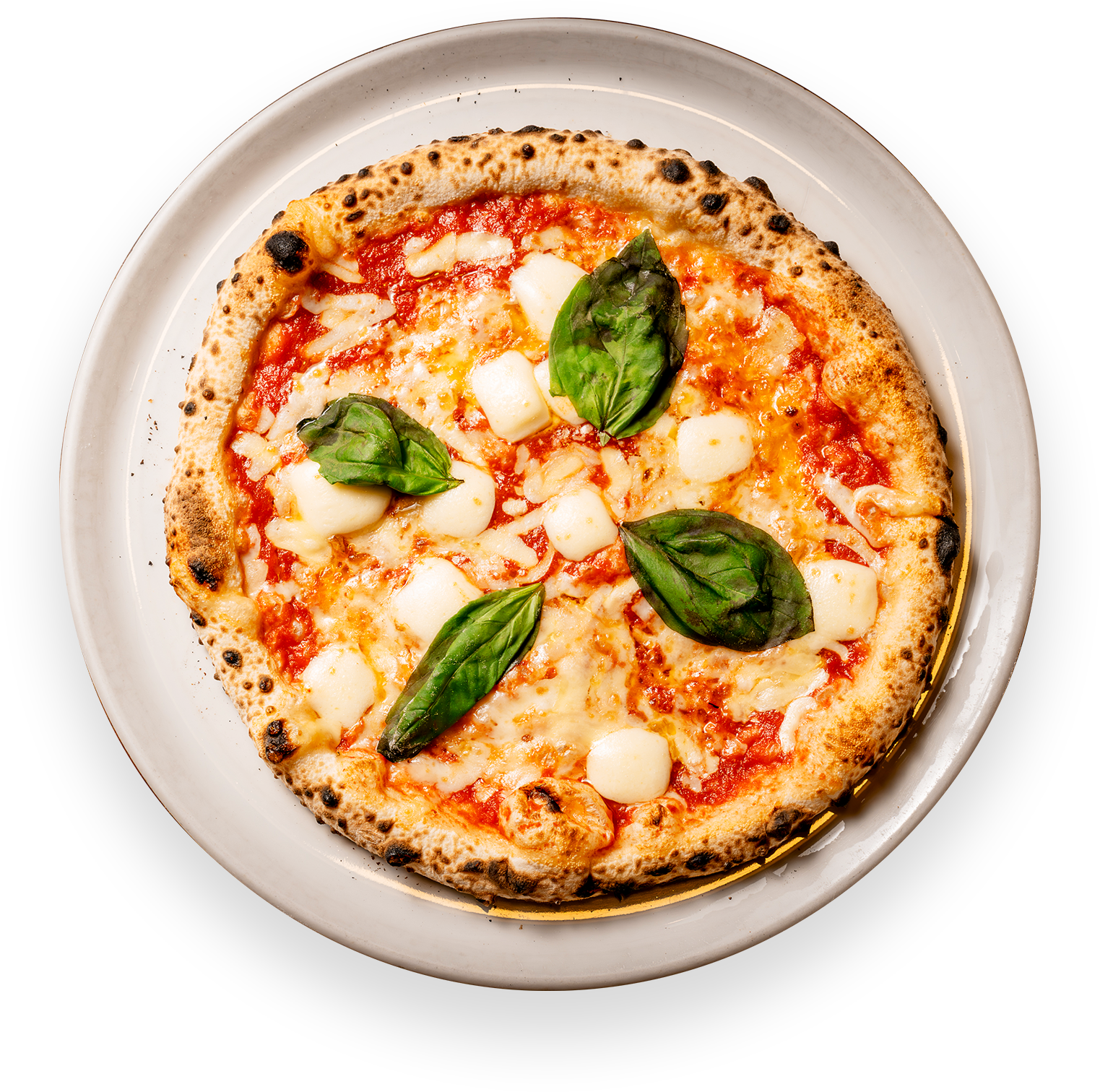 Variety Pizza
